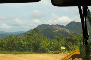 Driving on Sarawak's rural roads