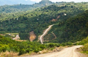 Sarawak logging roads snaking up the hillside