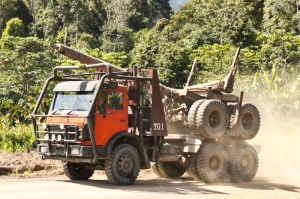 Returning logging truck