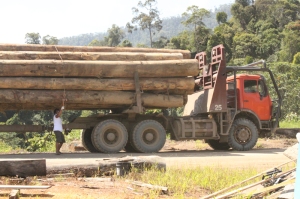 Sarawak logging truck