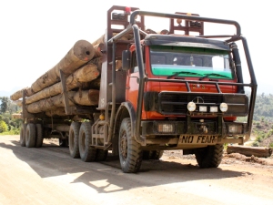 Logging truck bringing logs downriver